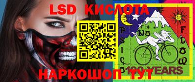 прущие крисы Новозыбков